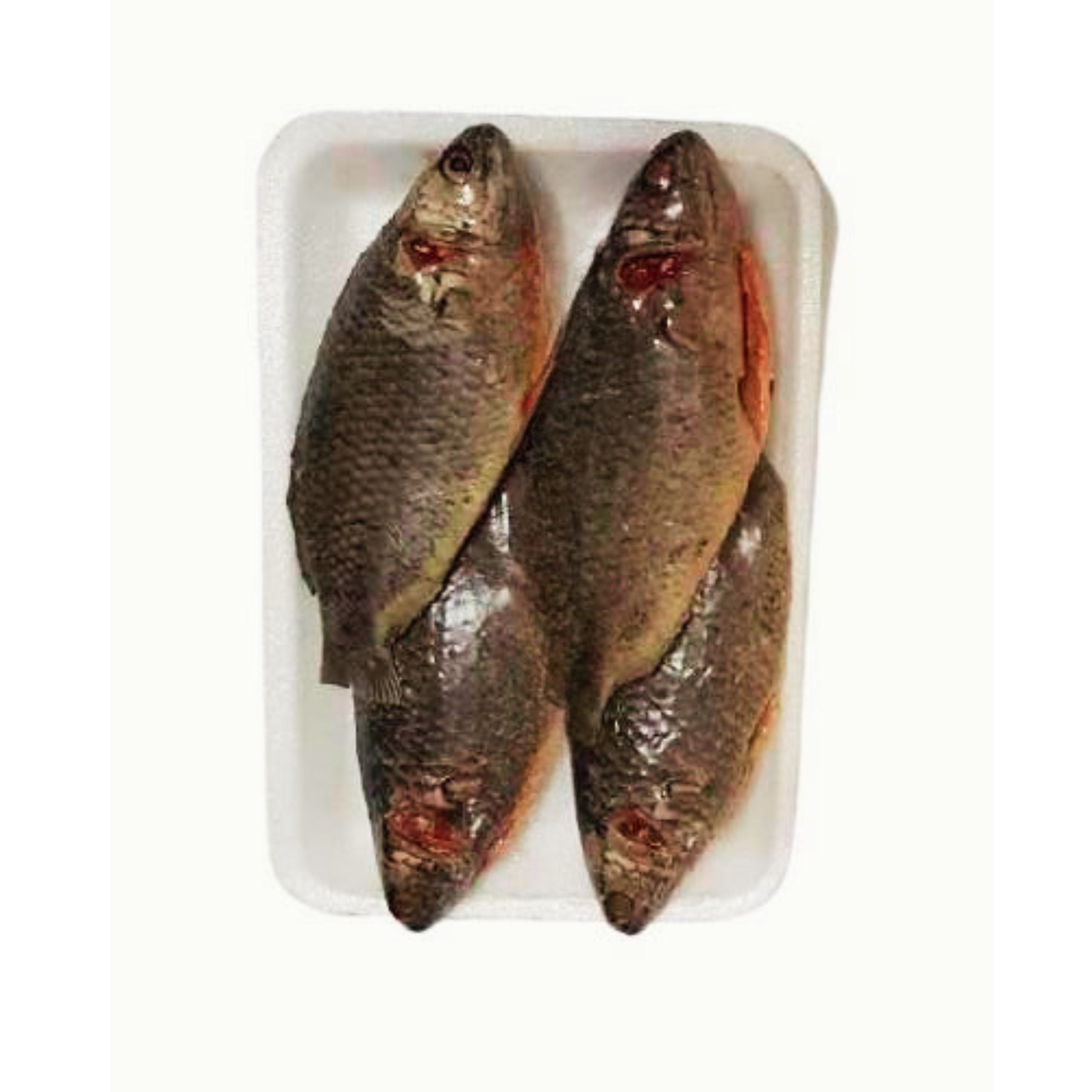 Panaieri Kendai/ Koi, 300 g , (Frozen)