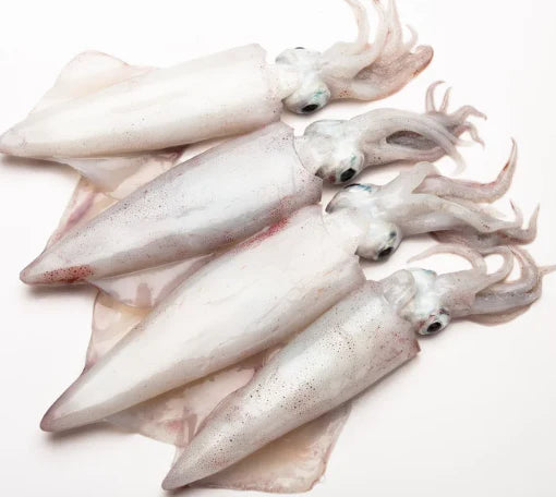 Squid Fish (Kanava/Kamatha Sanchulu), 1 lb