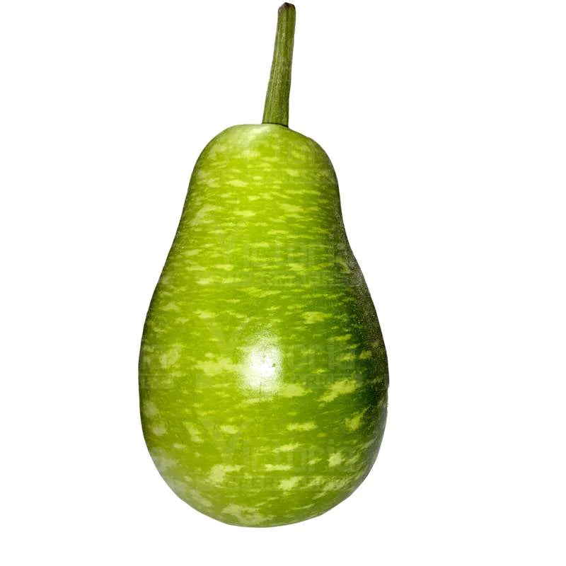 Bengal Squash (Sorakkai), 2.5 lb