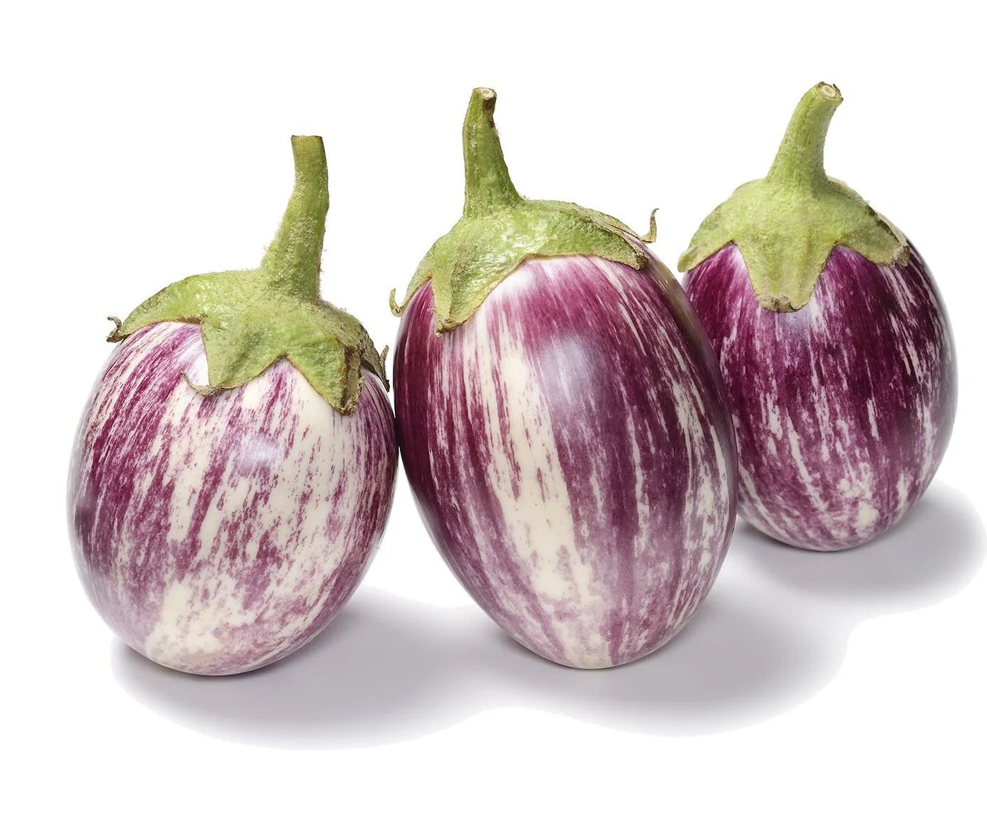 Eggplant/Vankaya/Baingun, 1 lb