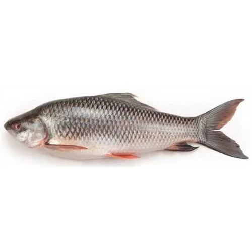 Rohu Fish, 1 lb
