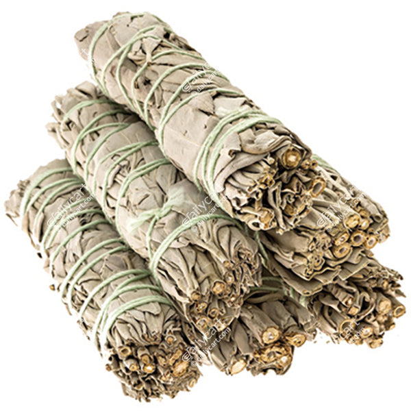 California White Sage Bundle, 3" to 4" Inch