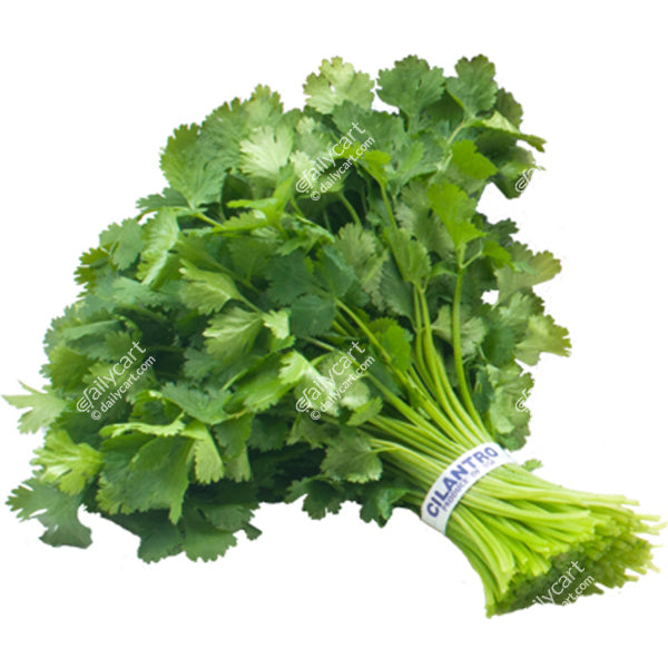 Cilantro, 1 bunch