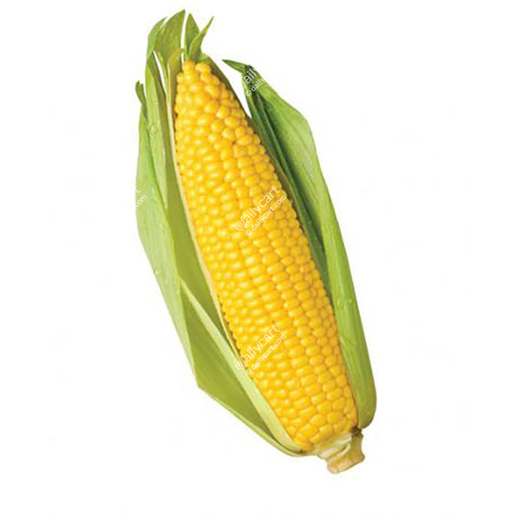 Fresh Corn, 1 each
