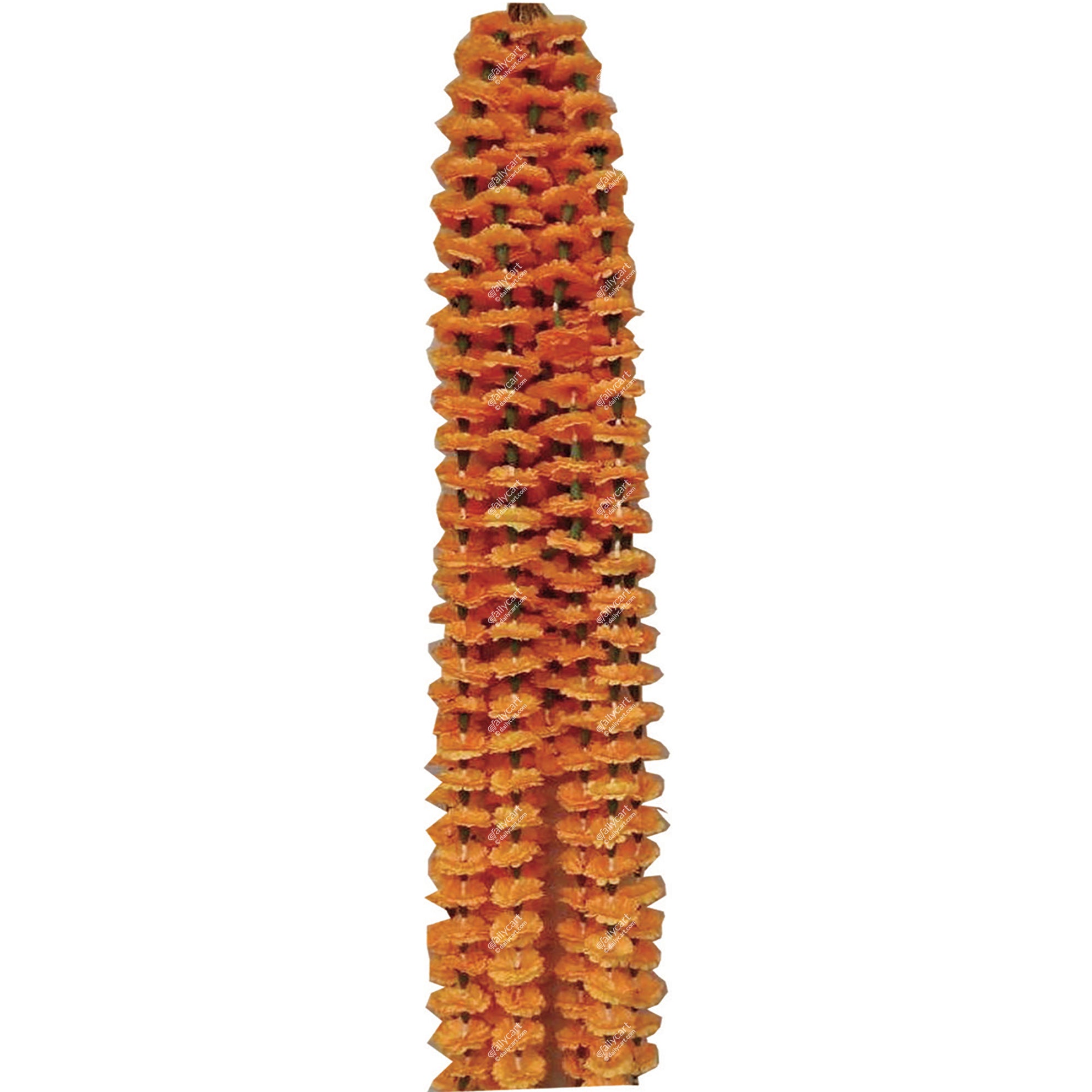 Orange Marigold Flower String, 60" Inch