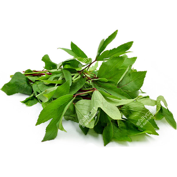 Gangura Leaves, 1 bunch