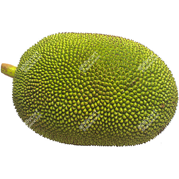 Jackfruit, Quater Slice