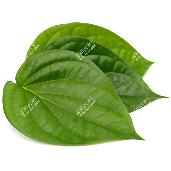 Pan Leaves, 5 leaves
