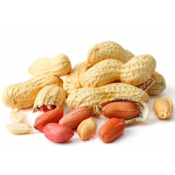 Roasted Peanuts in Shell, 1 lb