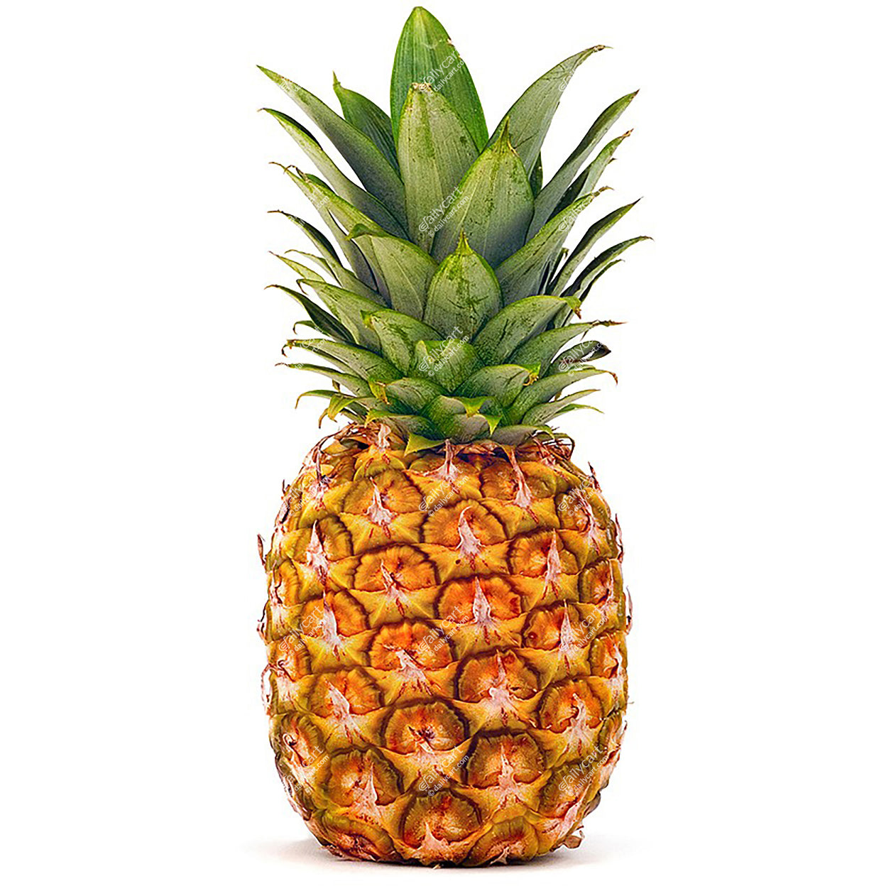 Pineapple, 1 each