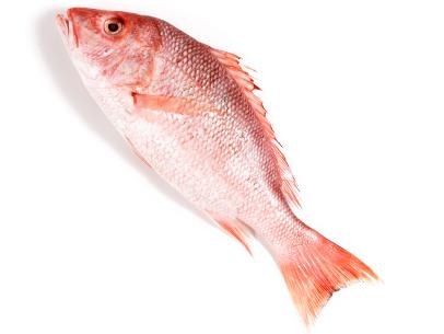 Red Snapper Fish, 1 lb
