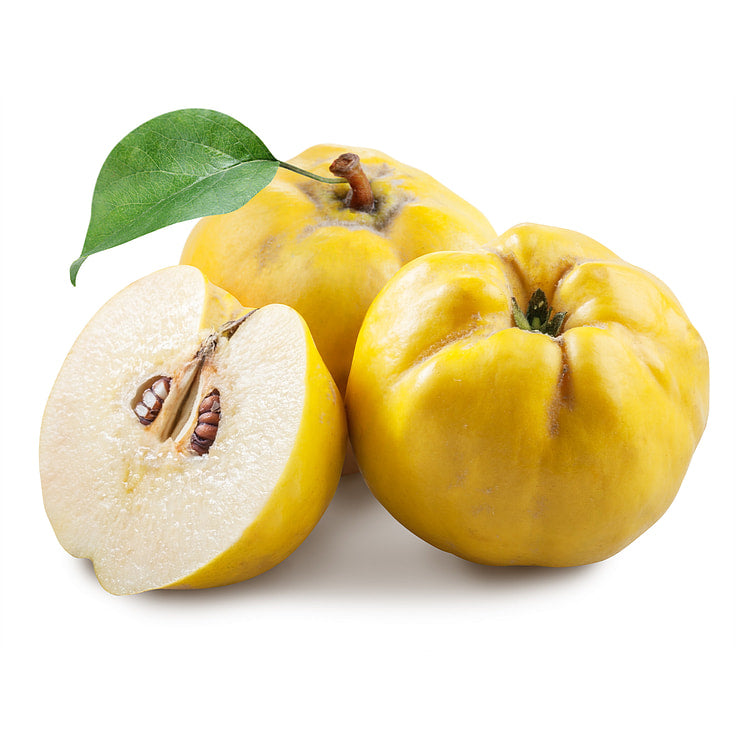 Quince, 1 Each