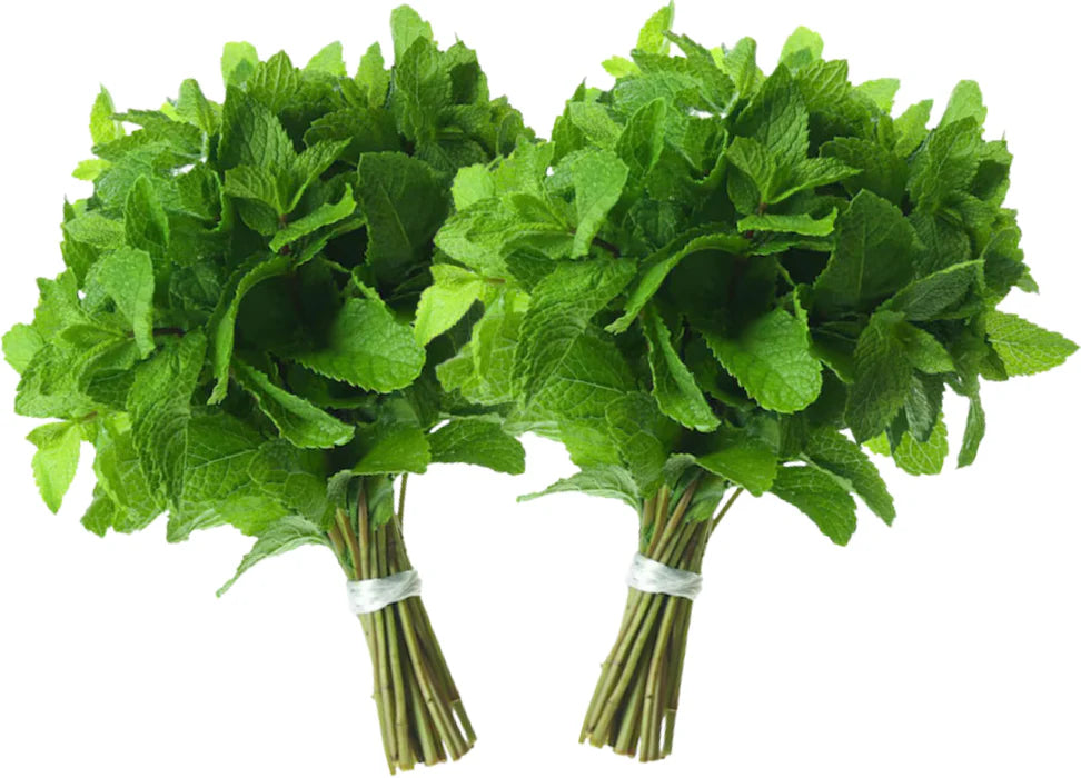 Mint, 2 bunches