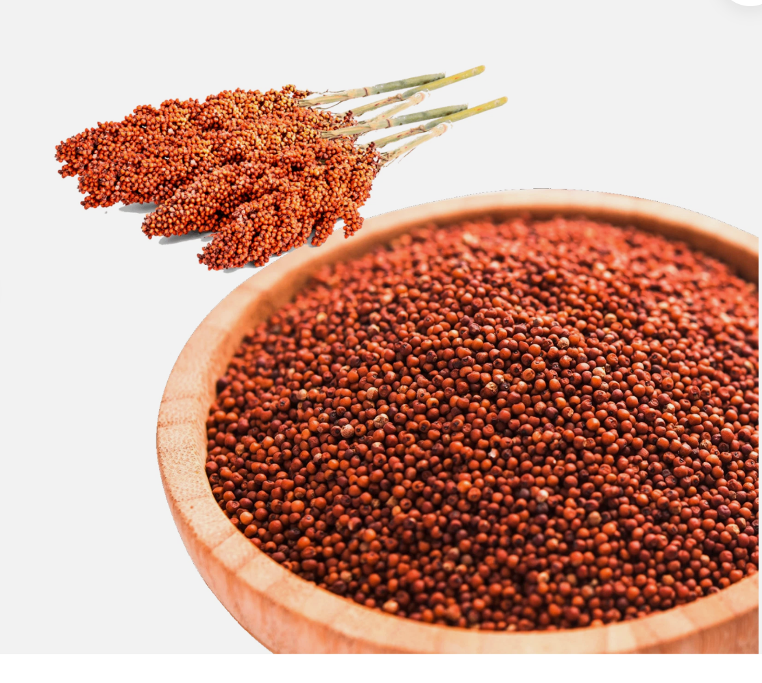 DC Preferred Finger Millet - Ragi, 1 lb