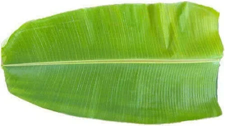 Fresh Banana Leaf, 1 each