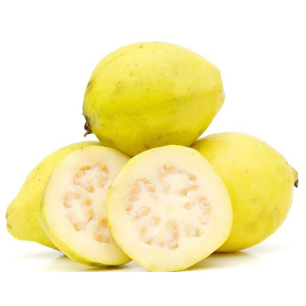 Guava, 1 lb
