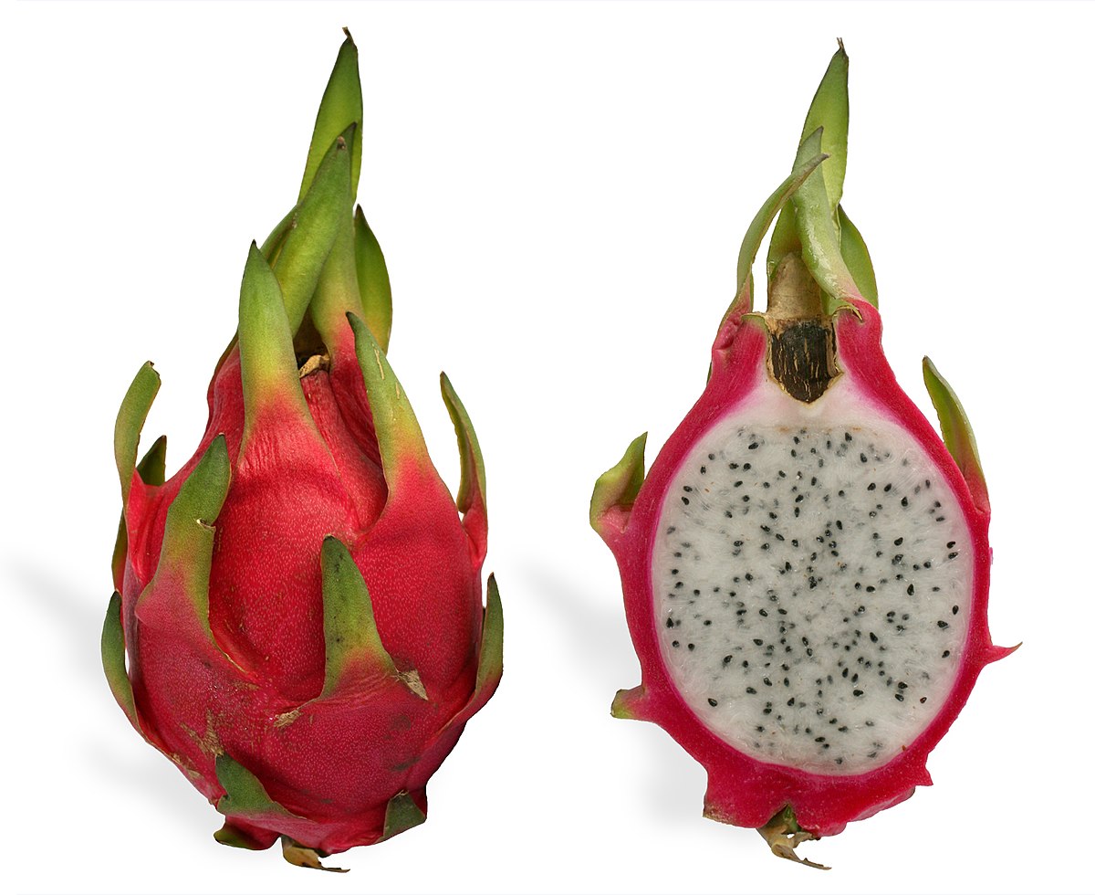 Dragon Fruit, 1 each