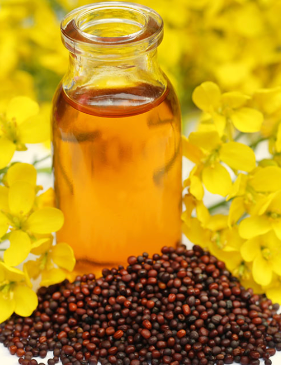 Satnam Mustard Oil, 5 litre