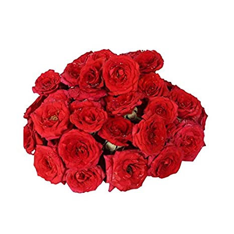 Button Red Rose Flowers, 50 g