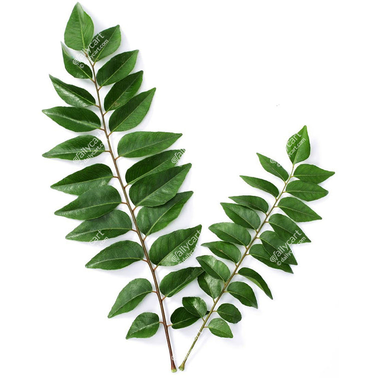 Curry Leaves, 1 pack