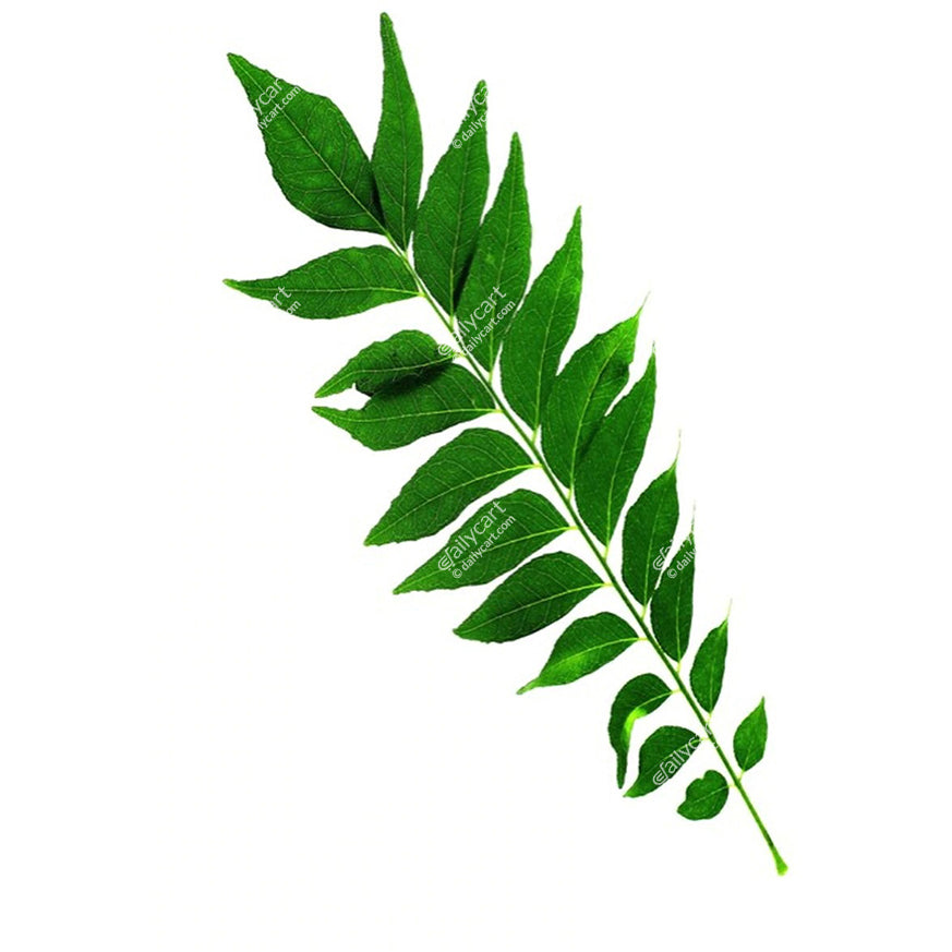 Curry Leaves, 0.5 lb