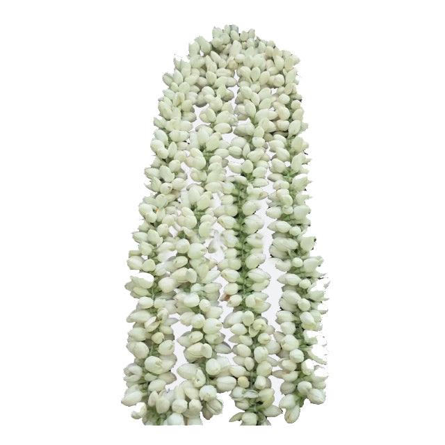 Jasmine Flowers, 5 feet String