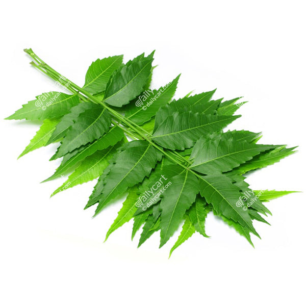 Neem Leaves, 1 pack, approx 0.25 lb