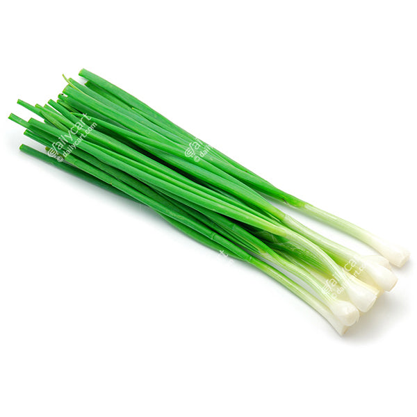 Green Onion, 1 bunch