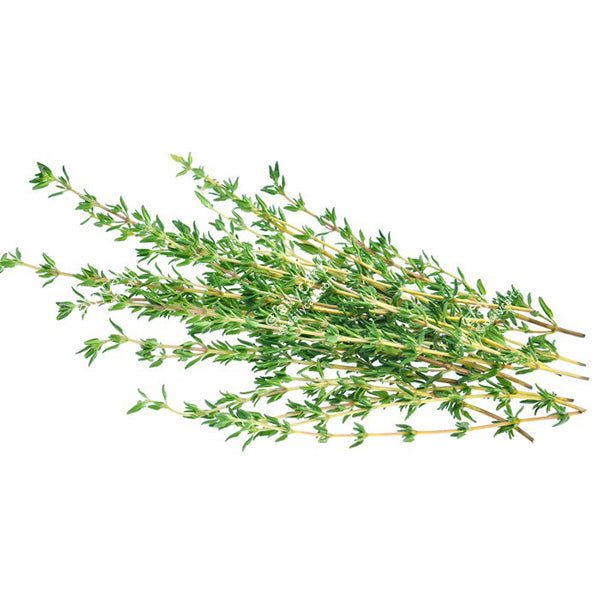 Thyme, 1 bunch